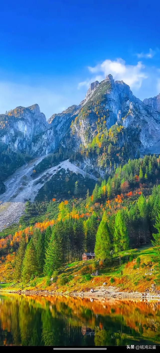 手机壁纸精美图片(162)