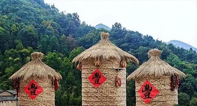 广西与贵州交界处的“菇类村”，女性衣着开放，以母系社会为主