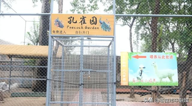 枣庄动物园升级啦！！