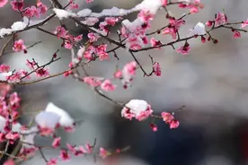 送给学子们的励志古诗词图片