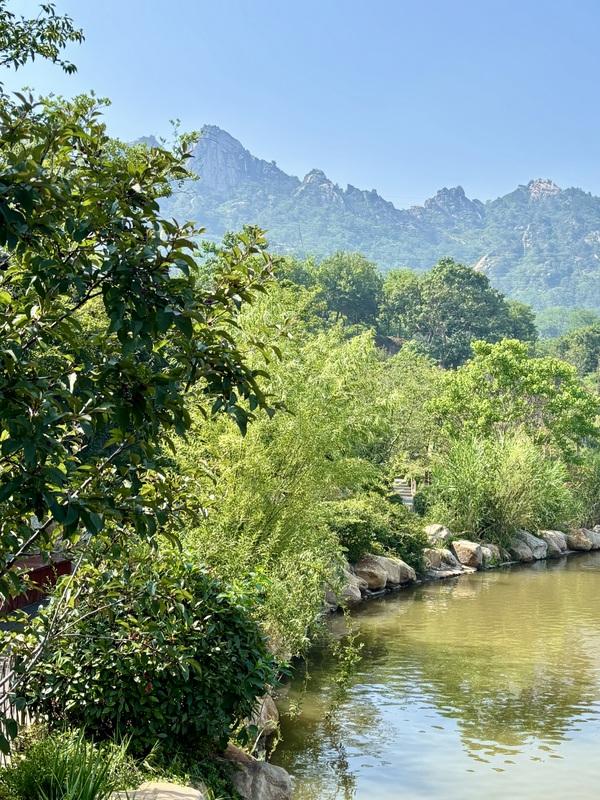 一座藏在青岛主城区内的森林氧吧