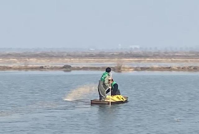 湖北公安 |【万里长江湖北行】鹳䴙䴘鸻鹈鹕鳽鹬鹛鹀䴓鹎，到底怎么读？
