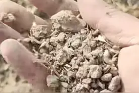 央视问河南旱情真实情况，省厅回应，河水被抽干，气温比火焰山高图片