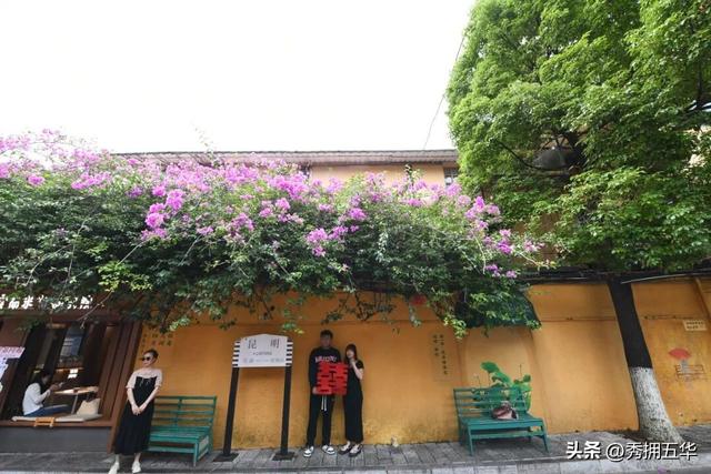 滇超在五华 | 滇超联赛期间在昆明主场怎么玩？这条赏杏观鸥·春城浪漫游线路请收藏！