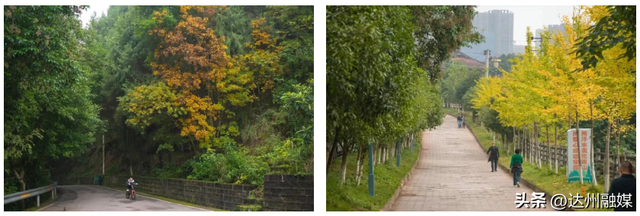 Run渠县，每一步都“热辣滚烫”