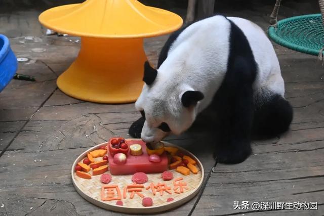 国庆第一天，朋友圈首图这不就有了吗！