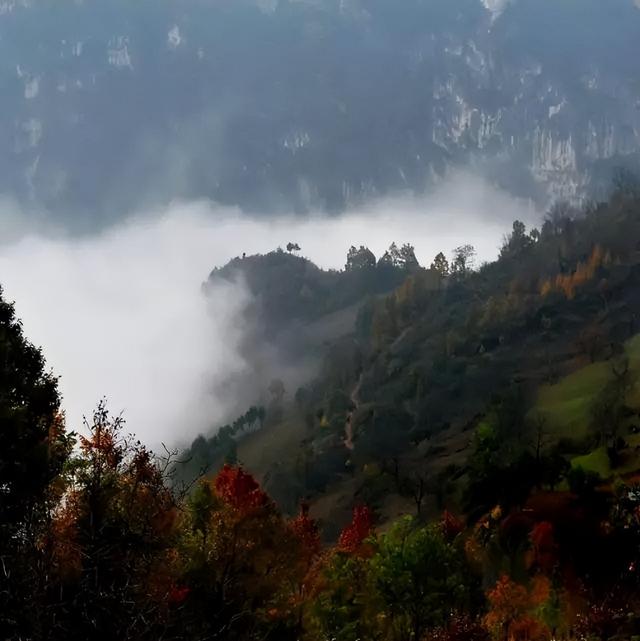 初秋，来一场徽县的旅行，谱一首秋天的童话