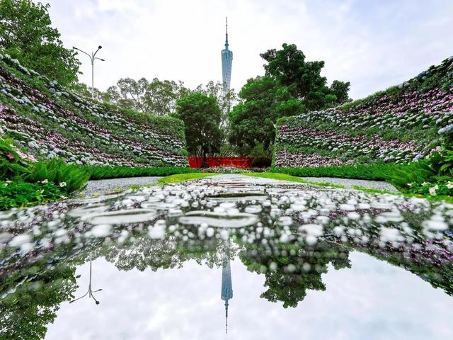 2025 广州园博会遛娃全攻略！白天赏花、夜晚观灯，亲子互动玩不停