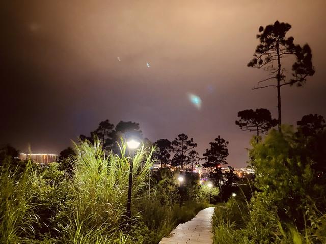 她不敢相信，在监狱里炼狱般的那三年，原来是都是他精心策划