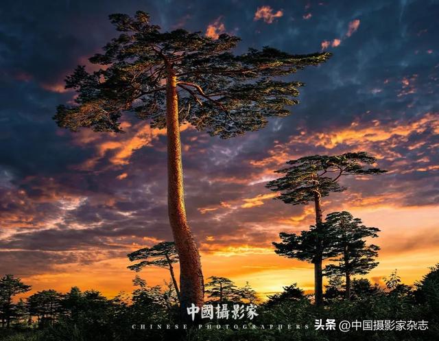 高鹏飞｜四季长白