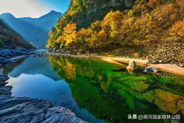 云端漫游，共赏黑河 | 提前解锁初秋的第一份美好