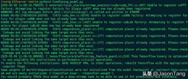 一文讲清怎么利用Python微调预训练AI人工智能模型