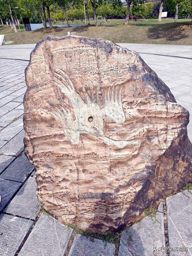 大雪时节，来汤山金乌公园晒暖阳、泡温泉（上）