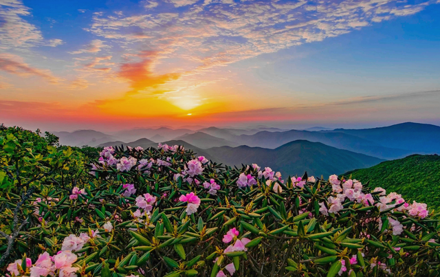 临安向世界发出绿色邀约：天目山“人与自然和谐共生”成果发布