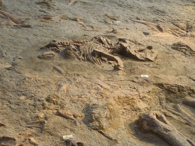 我是上海大学生，刚游完诸城，憋了 6 个疑问不吐不快！