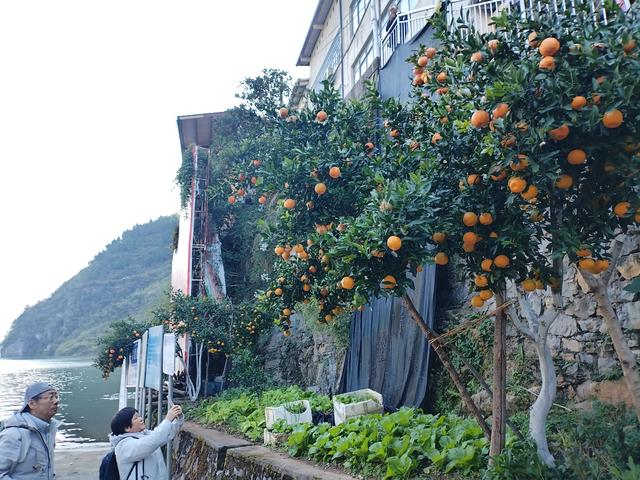 鄂渝行第四天（上）：小红船换小白船，从巫山到巴东