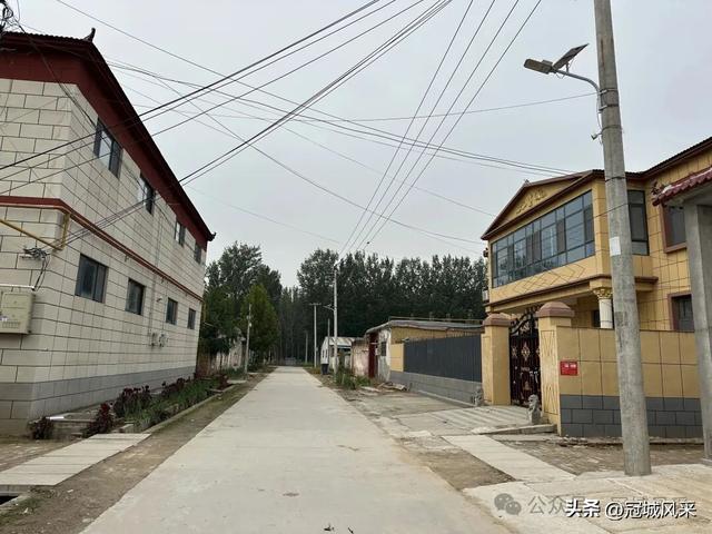 冠县乡韵·桑阿镇野场村