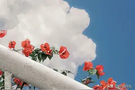 今日文案｜适合外出旅游发朋友圈的高级文案图片