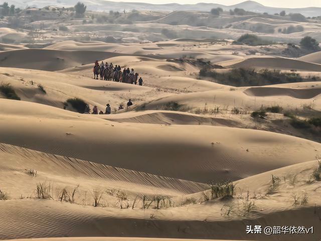 银肯塔拉｜寻找那一声失落的沙鸣