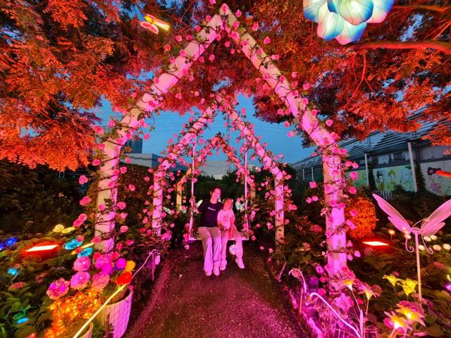 丰台秋日超全玩法指南！寻秋赏叶、文艺遛娃、夜游市集、采摘打卡统统有