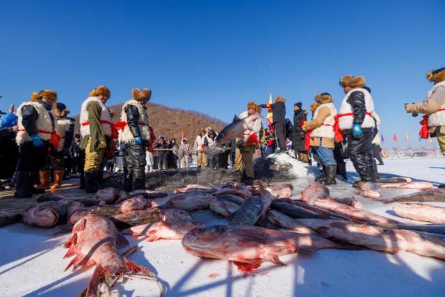 这个冬天,谁能拒绝黑龙江的冰雪?