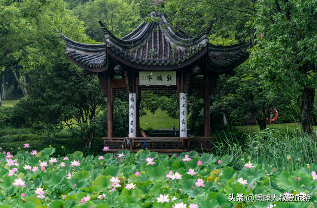 杭州萧山“看海”攻略来了，夏日，让我们来一场海之行，很惊艳！