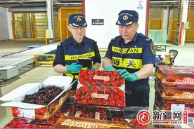 从杜尚别飞行2个多小时抵达乌鲁木齐市，绿色通道保障高效通关 一颗塔吉克斯坦樱桃的跨境之旅图片