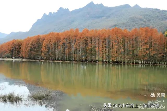 龙池秋色惹人醉
