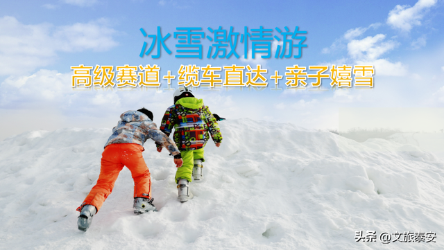 洛阳宝宝冲！四条线路解锁“一山一圣”的新玩法，朋友圈从洛阳卷到山东！