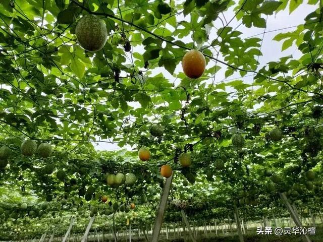 印江“丰”景如画