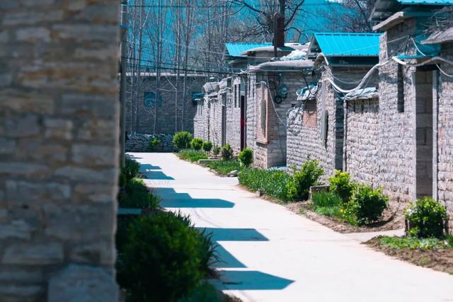 石巷、落日、采摘，济南这座古村一年四季都在“慢生活”