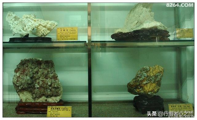 山东行游影记（31）—平邑天宇自然博物馆（六）