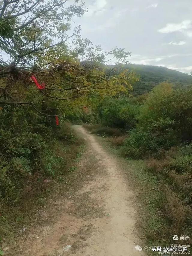 尽享无尽野趣!来浙里,开启一场跨越山与海的秘境徒步之旅!