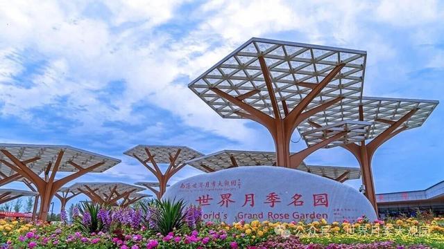 南阳世界月季大观园2025国庆月季文化周来了！