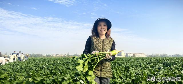 周末新玩法：云梦博物馆看秦简，新马村拔萝卜，武汉家庭乐翻天