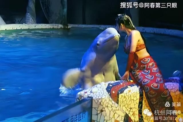 大连 之海洋世界