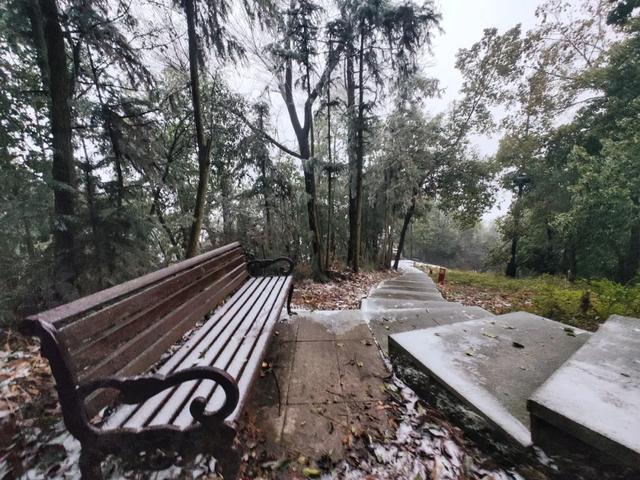 罕见一幕现身醴陵,即将消失!