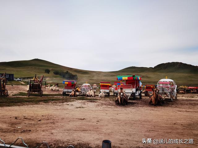 总要去趟草原吧！自驾塞罕坝和乌兰布统超简攻略（附图超全）