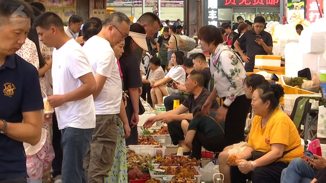 这个季节来云南，抓根树枝我们去“打野”