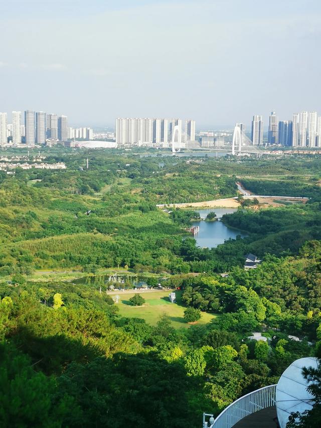 南宁的城市天际线如此壮观,真的没想到