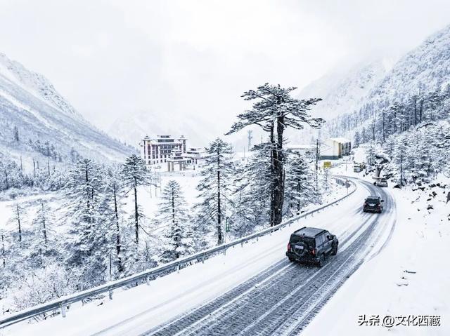 连续5年！西藏墨脱再获“中国最美县域”！凭啥？