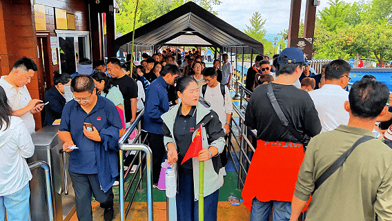 重磅官宣！2026元旦游蒙山，赠送蒙山年卡！全年享无限畅游~