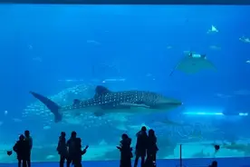 外太空，真的适合人类居住吗？图片