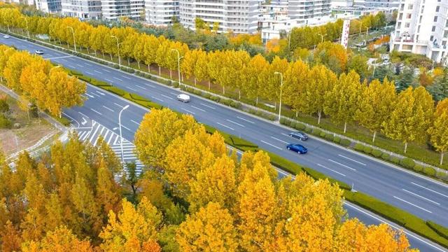 打卡限时浪漫，一键收藏隐珠街道最美秋色！