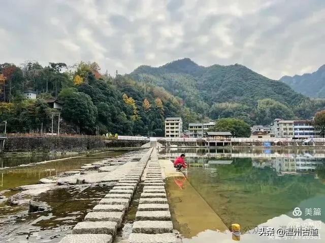 约吗？温州此处枫叶已渐红，这周末将进入赏红叶佳期！