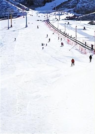 【2025新疆网络文化】乌鲁木齐何以热“雪”沸腾