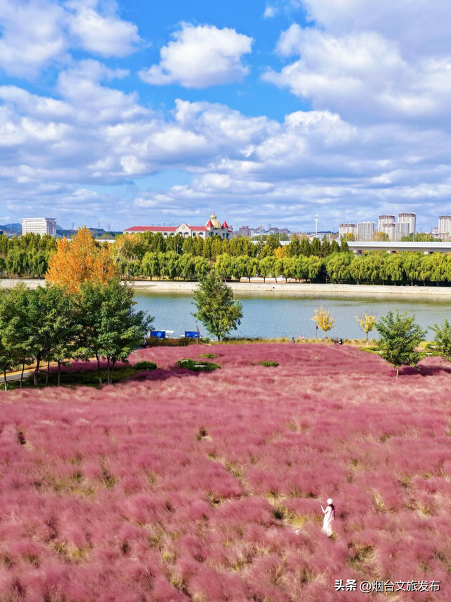 【乐游烟台】烟台赏秋一定要走这条路线（正当时）