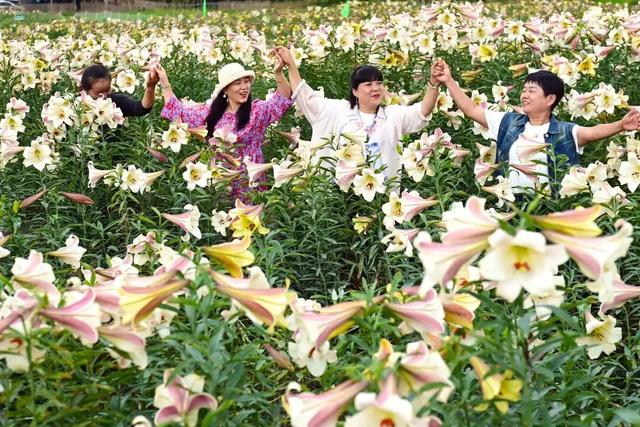 全国百强！宜春一地入选！