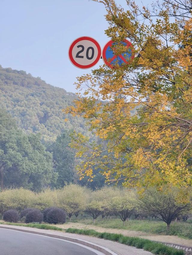 逛起来！8小时10个公园！