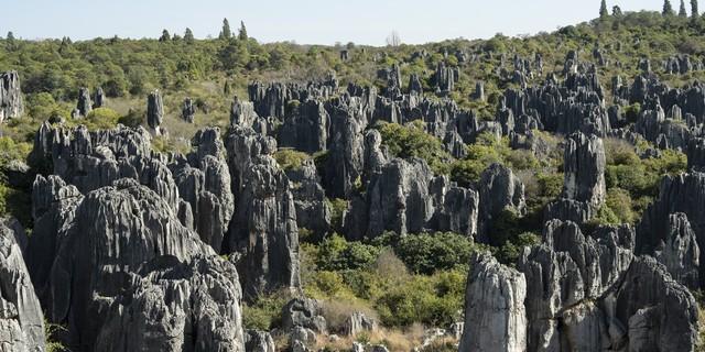 你所不知道的云南十八怪——石头长在云天外